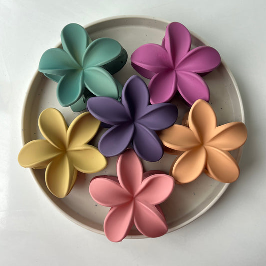 Matte Flower Claw Clip – Pastel Set of 6 | Soft Touch Hair Claw for Women